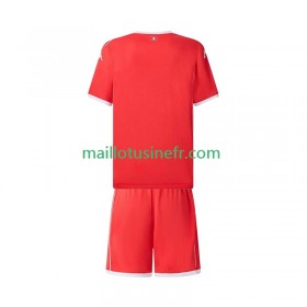 Maillot de Foot Tunisie Domicile 2025 - Enfant